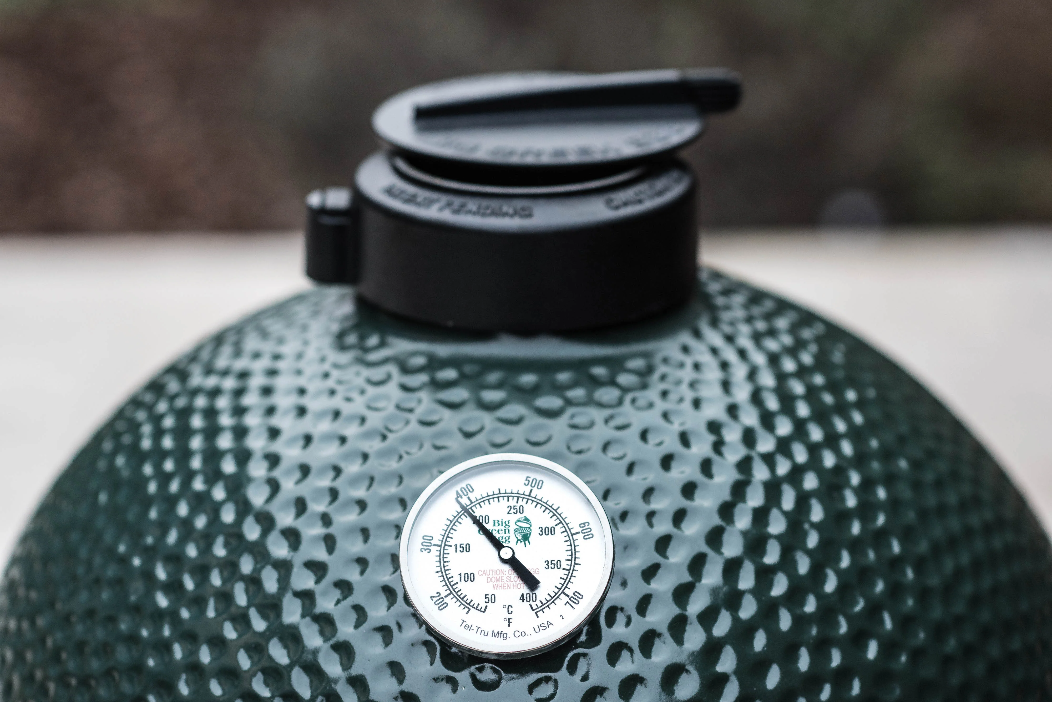 Big Green Egg XLarge - Barbecue a Carbone - Image 6