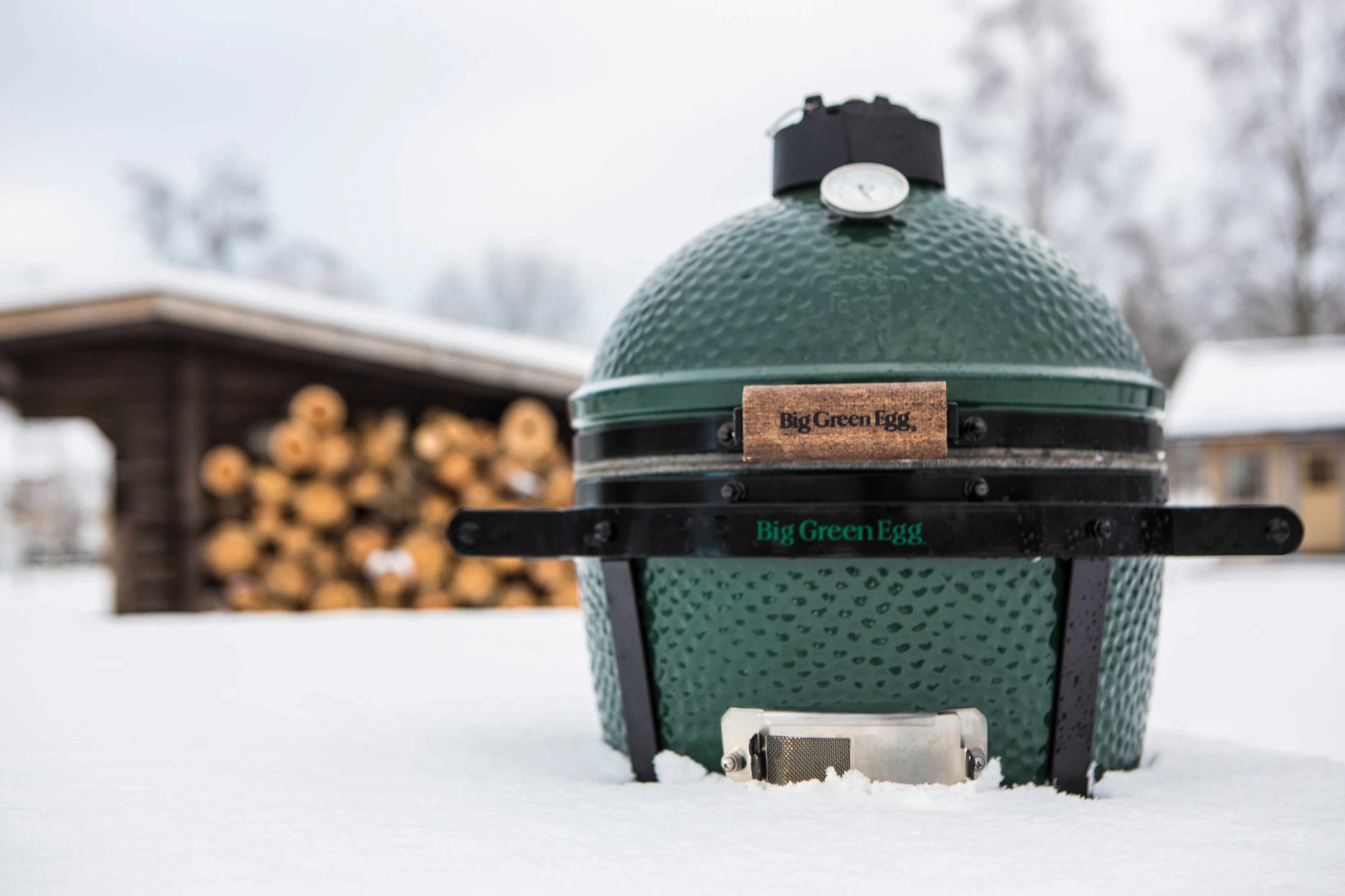Big Green Egg MiniMax - Barbecue a Carbone - Image 3